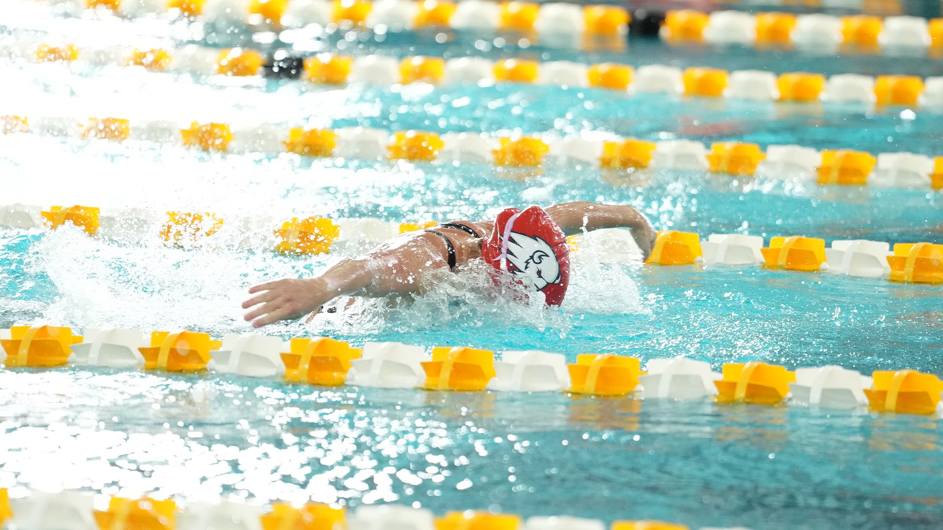 utswim_cmud2wrap
