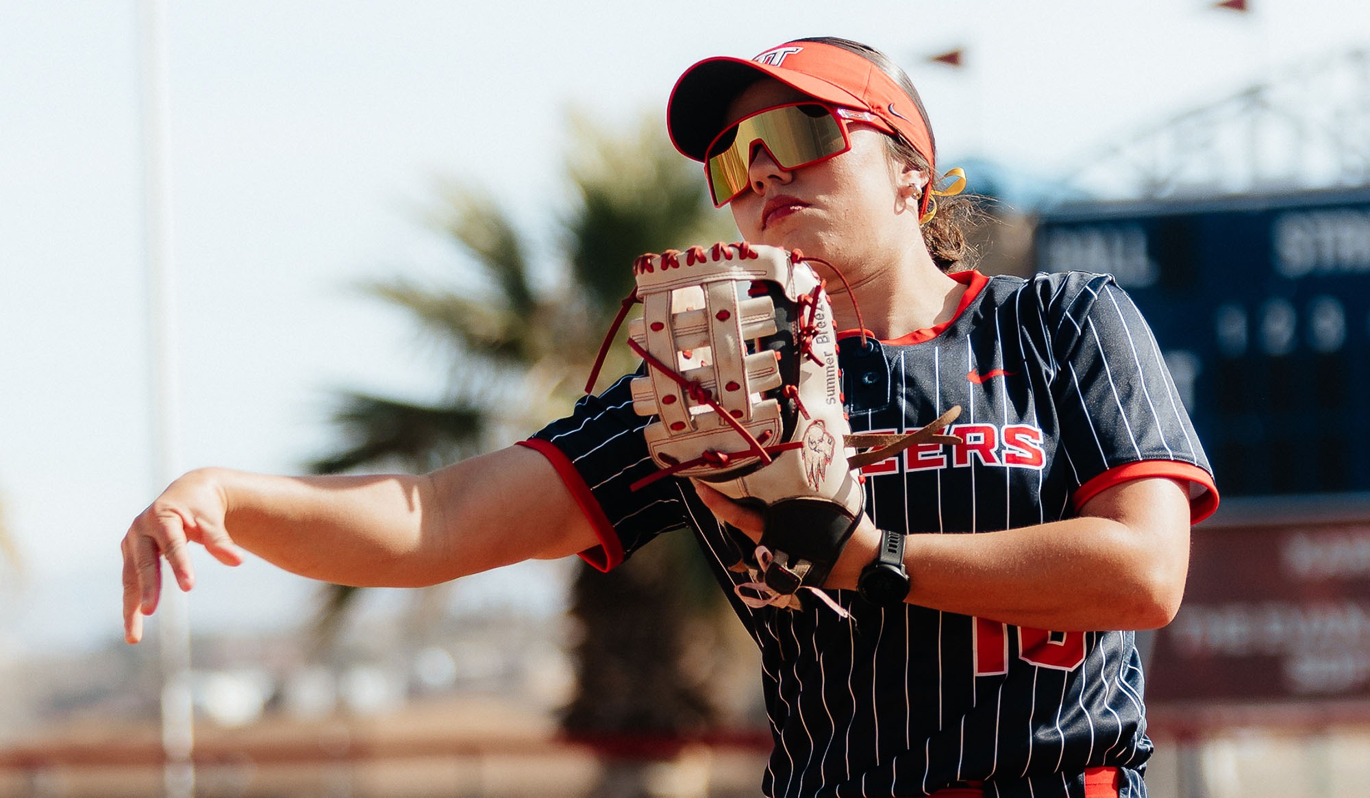 Sanderson Beehive Classic