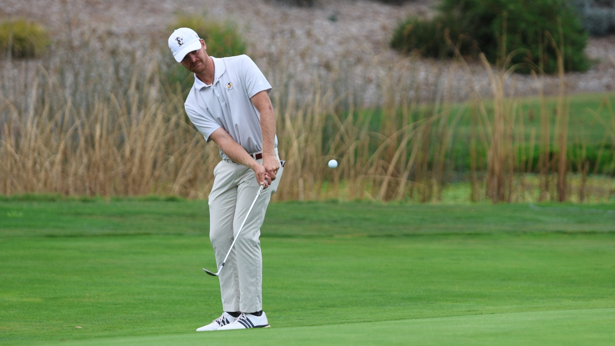 Daniel Marmorstein with a chip from the fringe