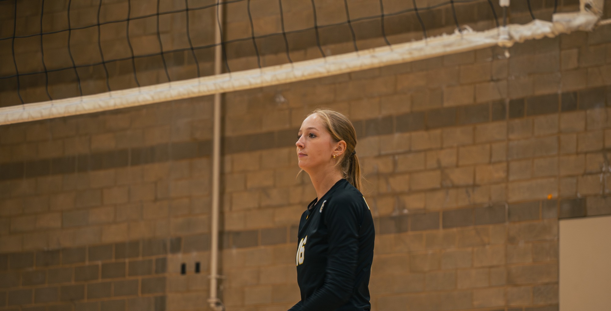 wvb