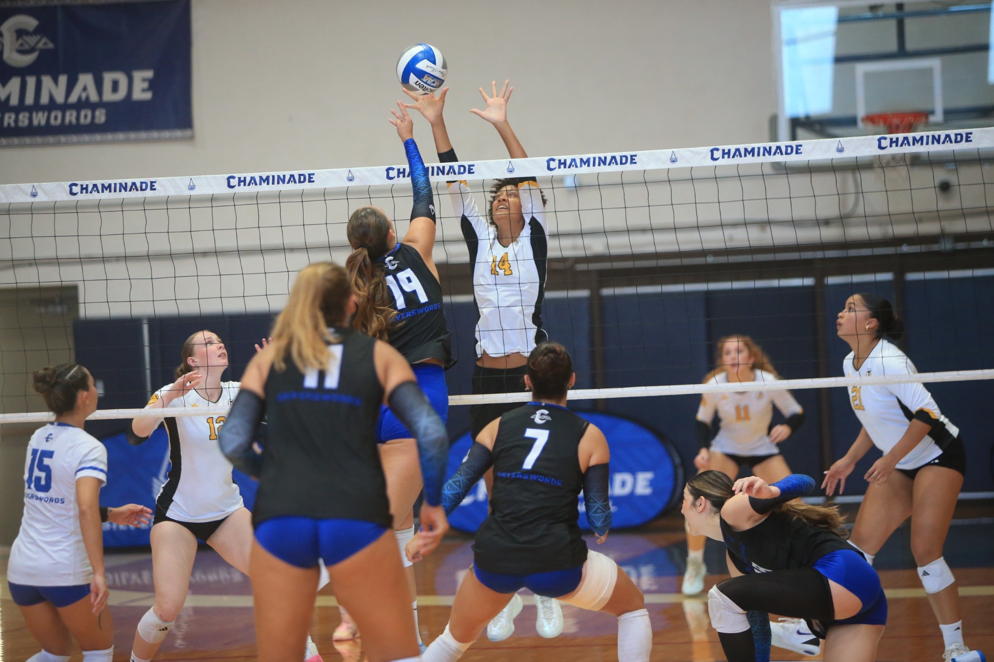 Jesara block against Cham