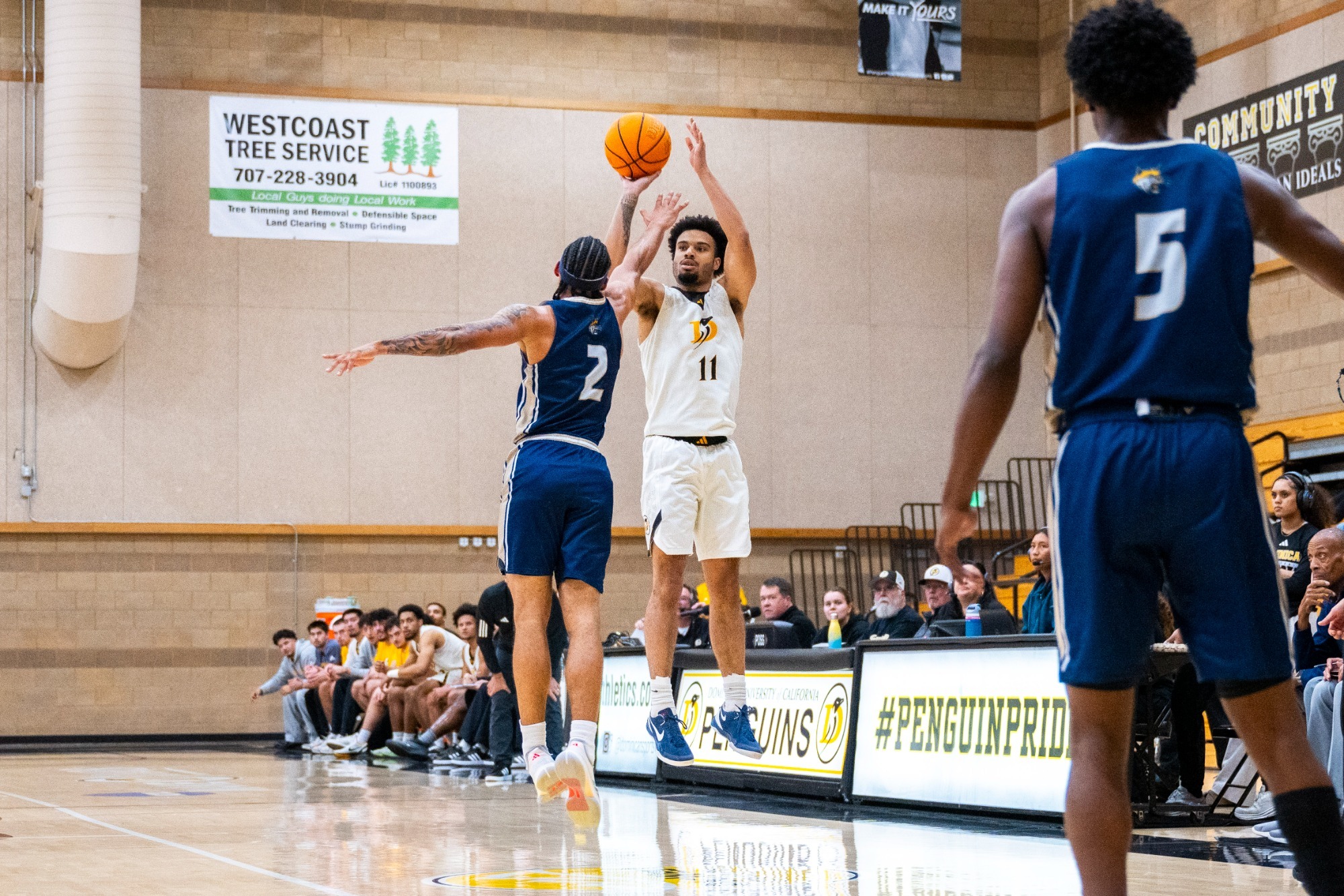 Austin Johnson pulls up from three