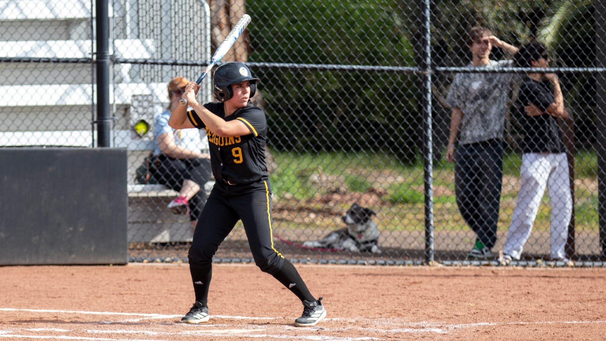 Leslie Ruiz awaits a pitch