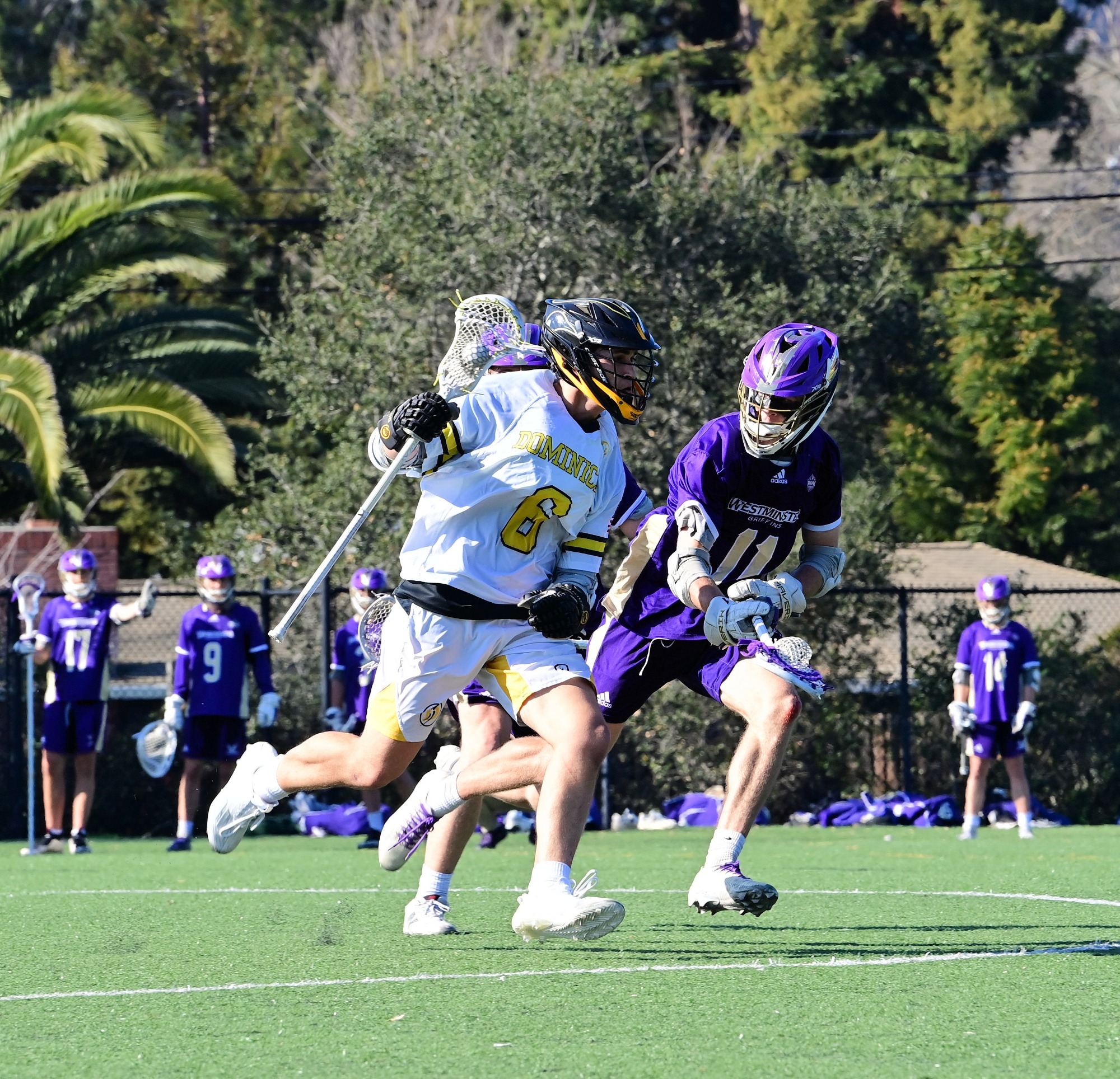 Mateo Polanco against Westmin