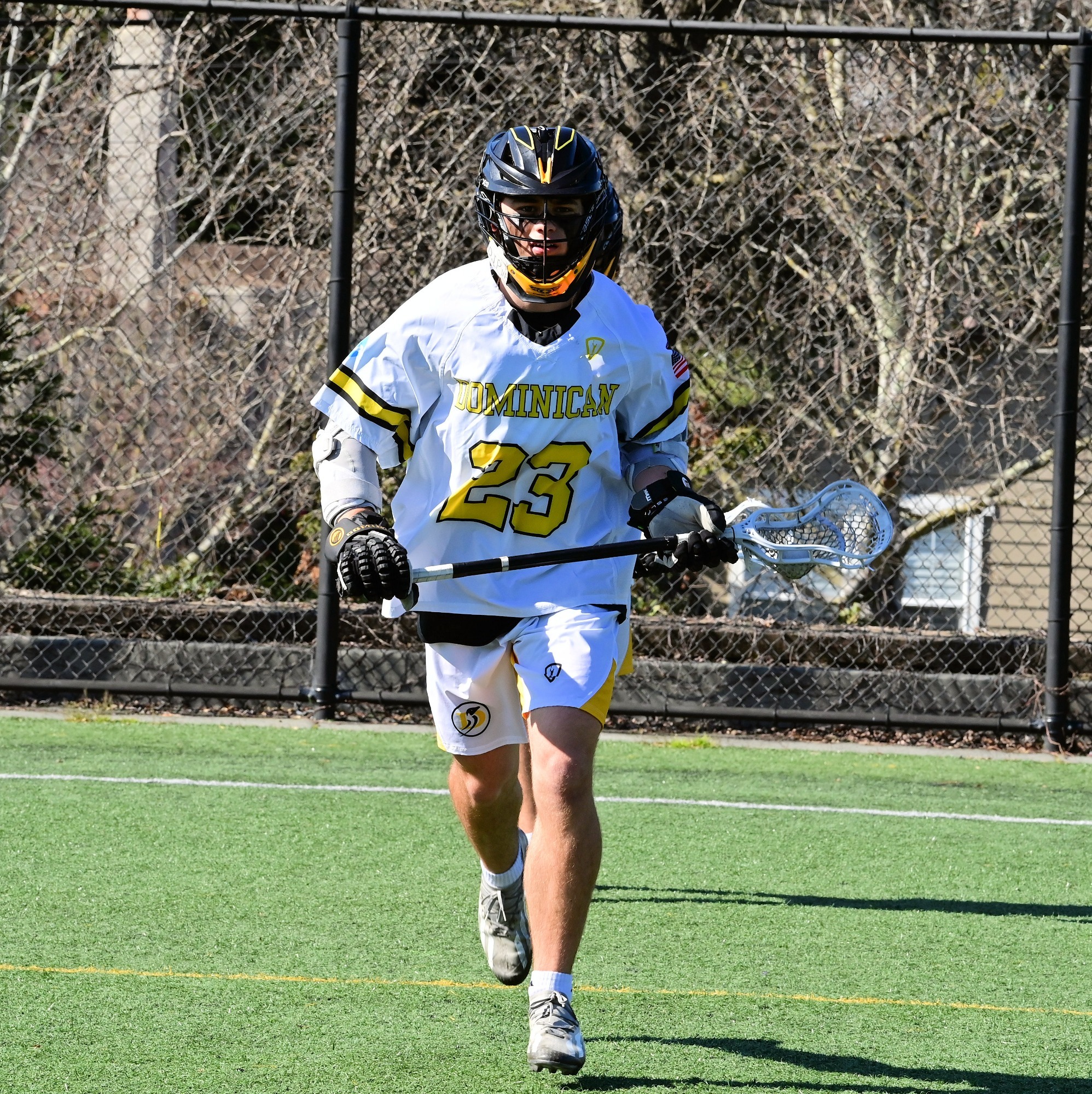 Will Elfline vs Westminster 