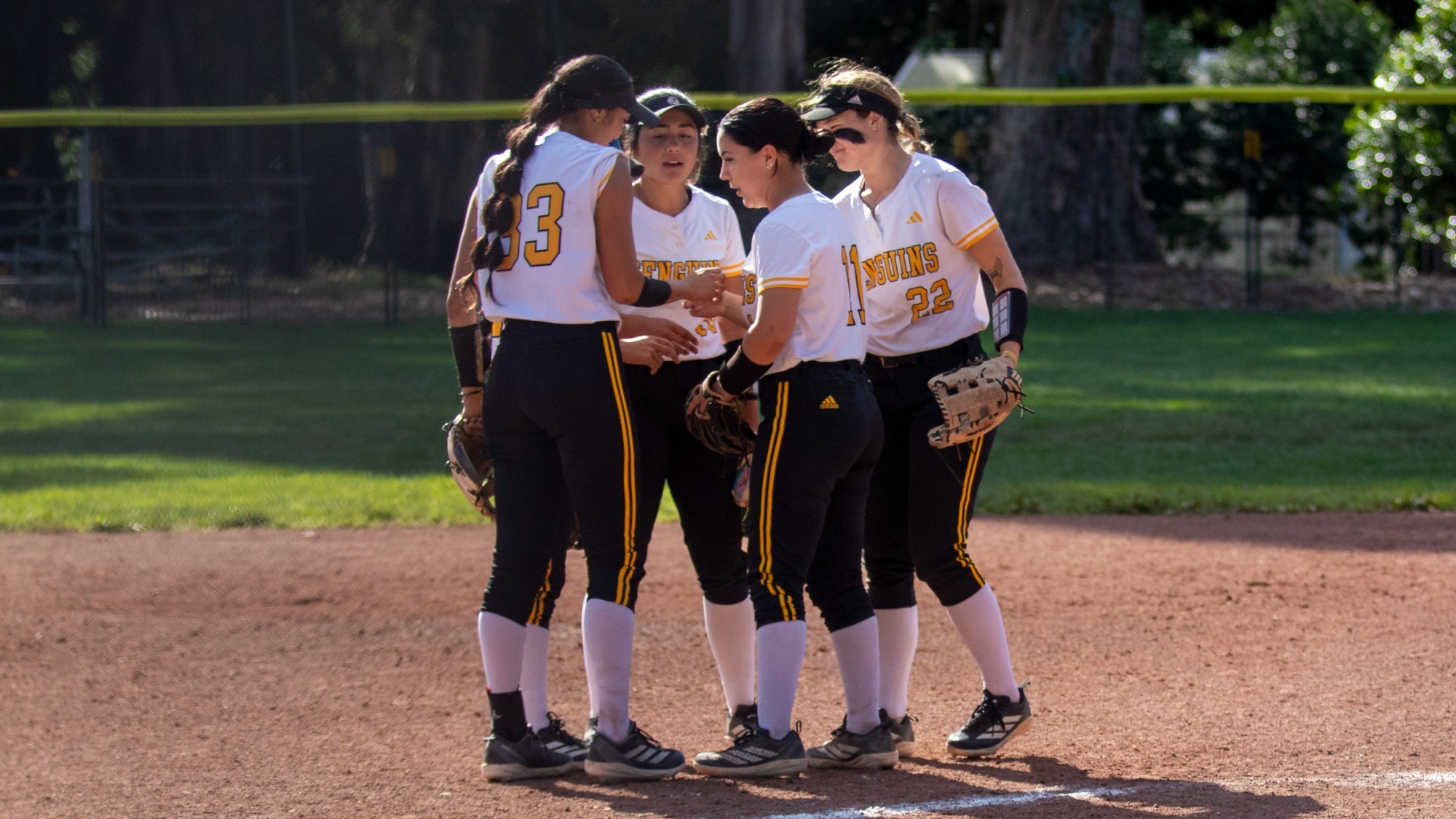 Dominican's infield huddles in the circle
