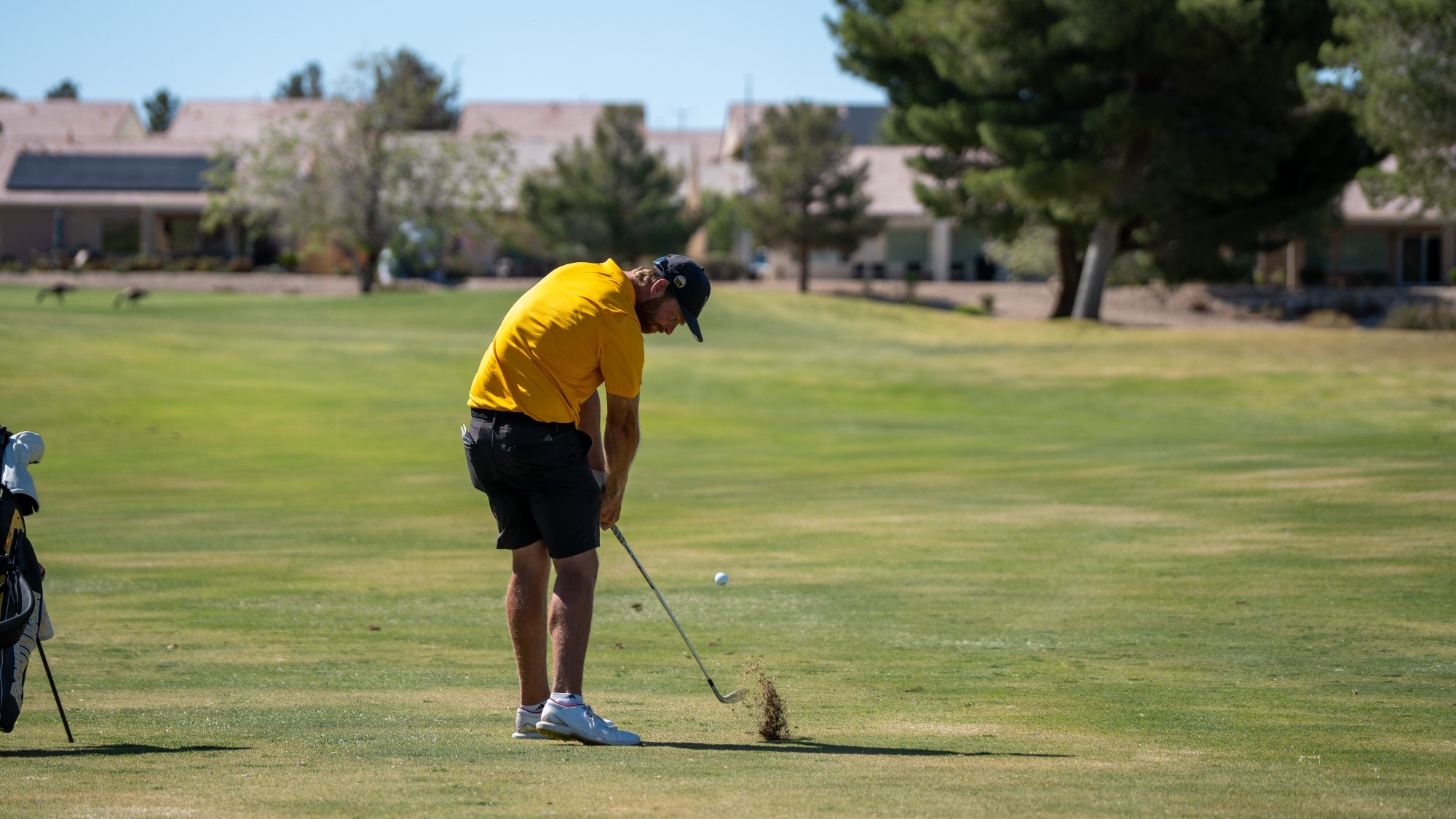 Daniel Marmorstein with a fairway shot at the PacWest Championships