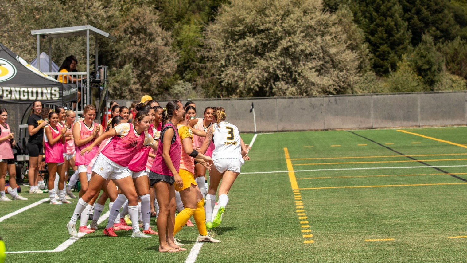 Ayla Moore celebrates her season opening goal with teammates on the sideline