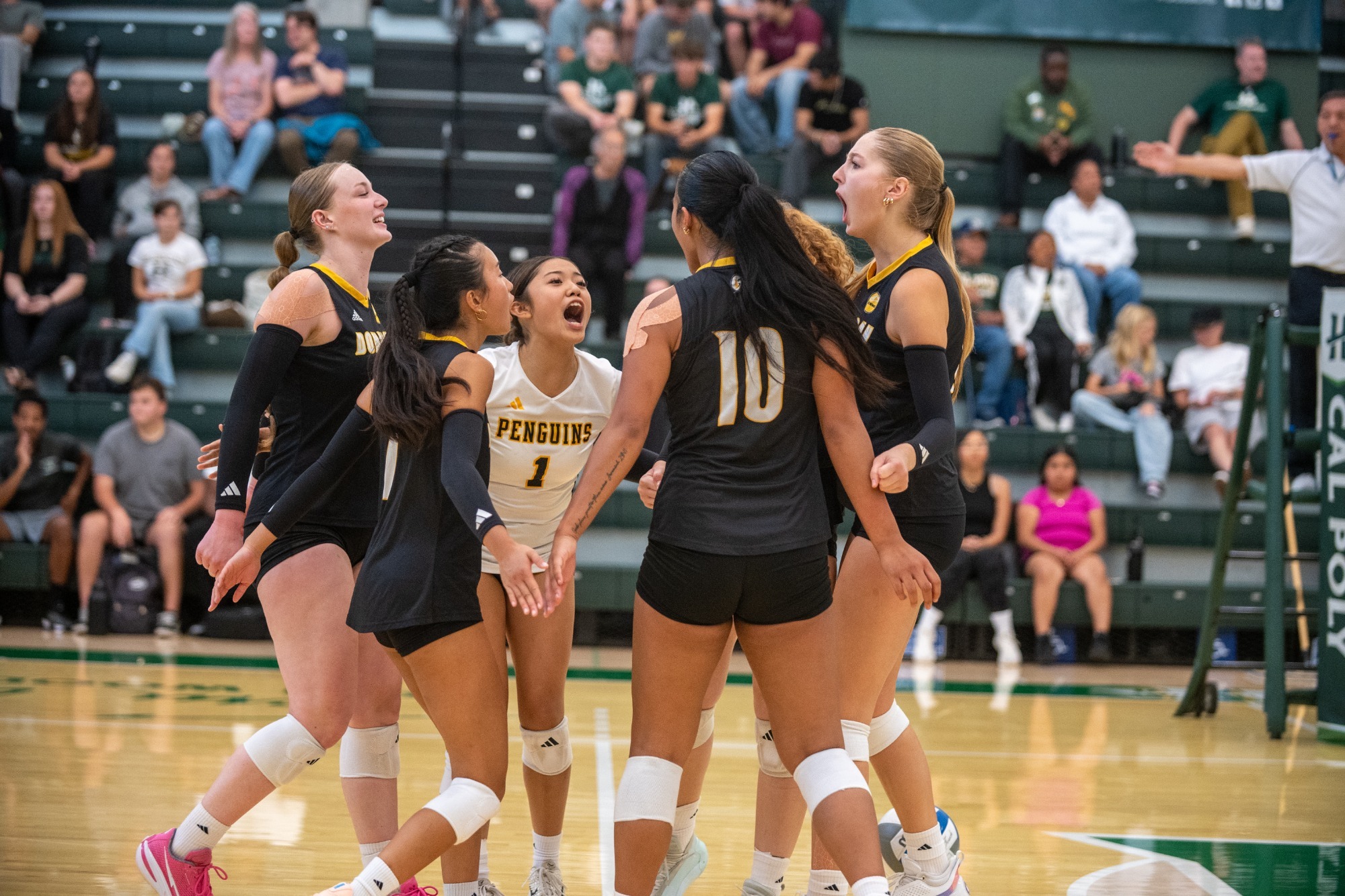 Volleyball Team