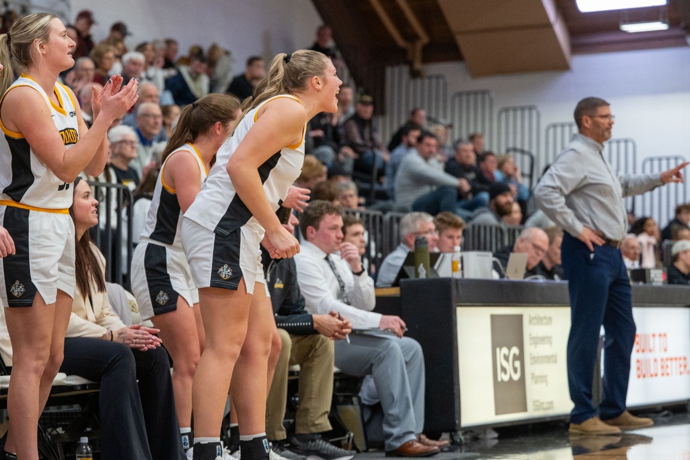 Celebrate women's basketball