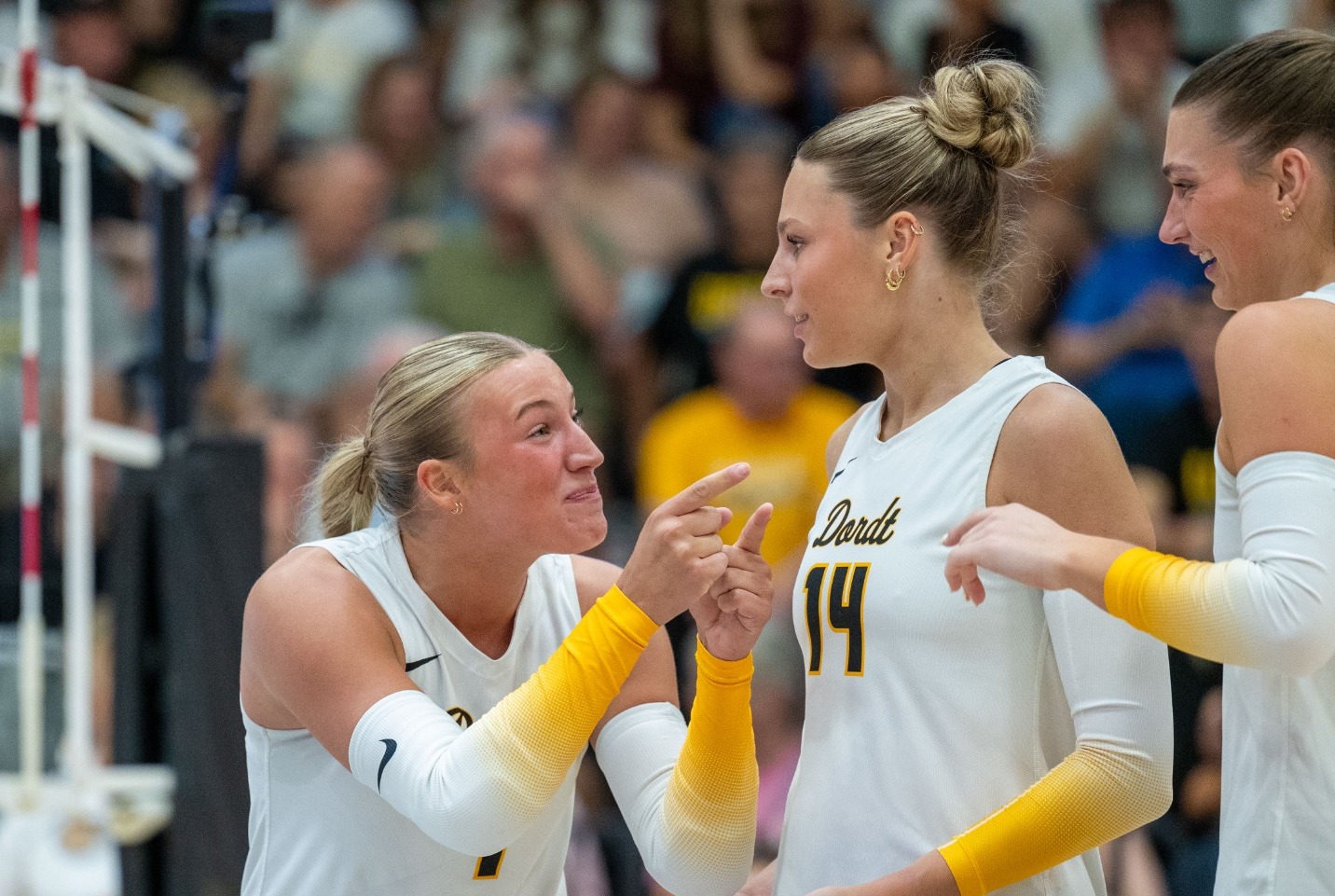 volleyball celebrate
