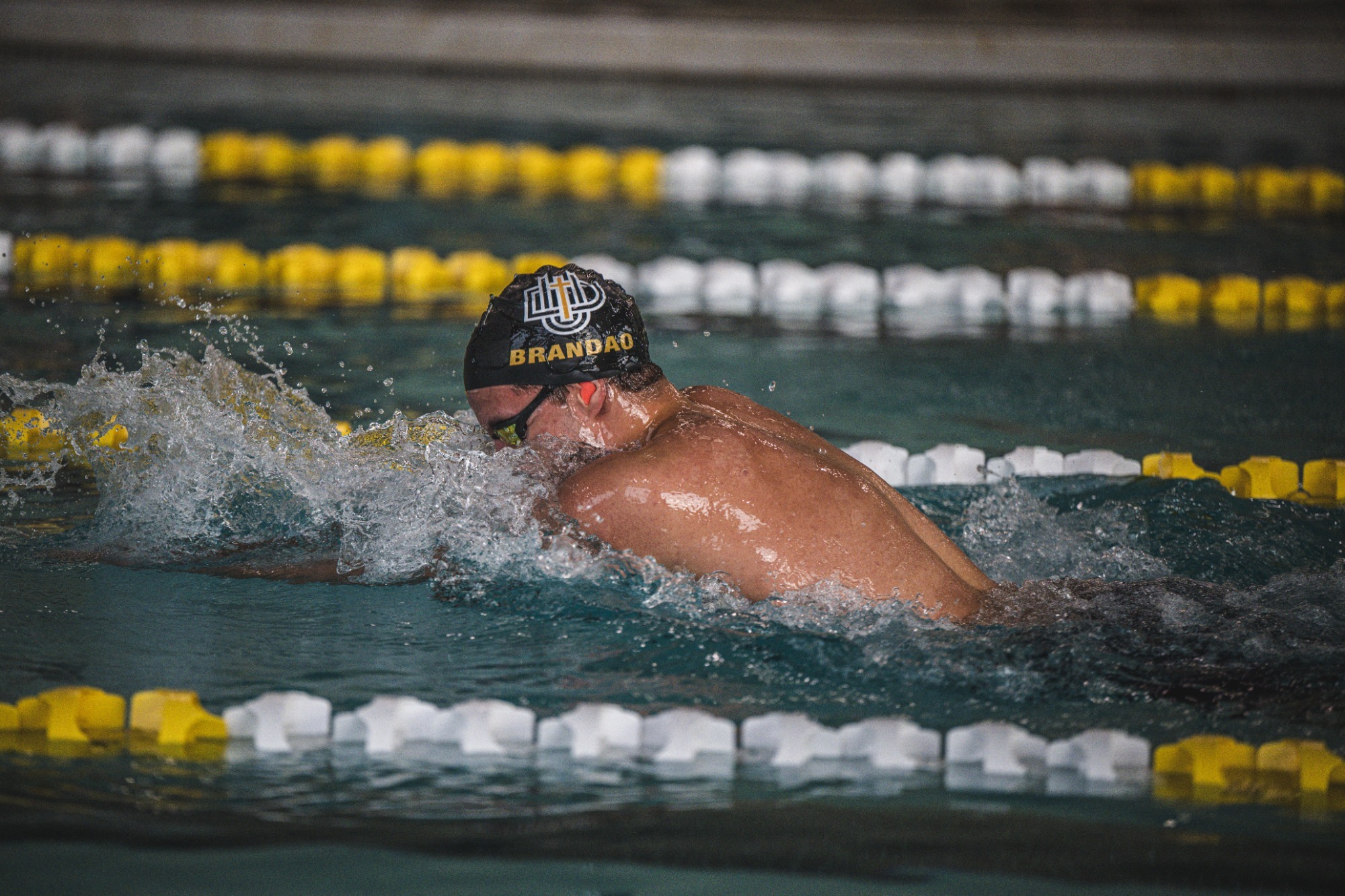 men's swim