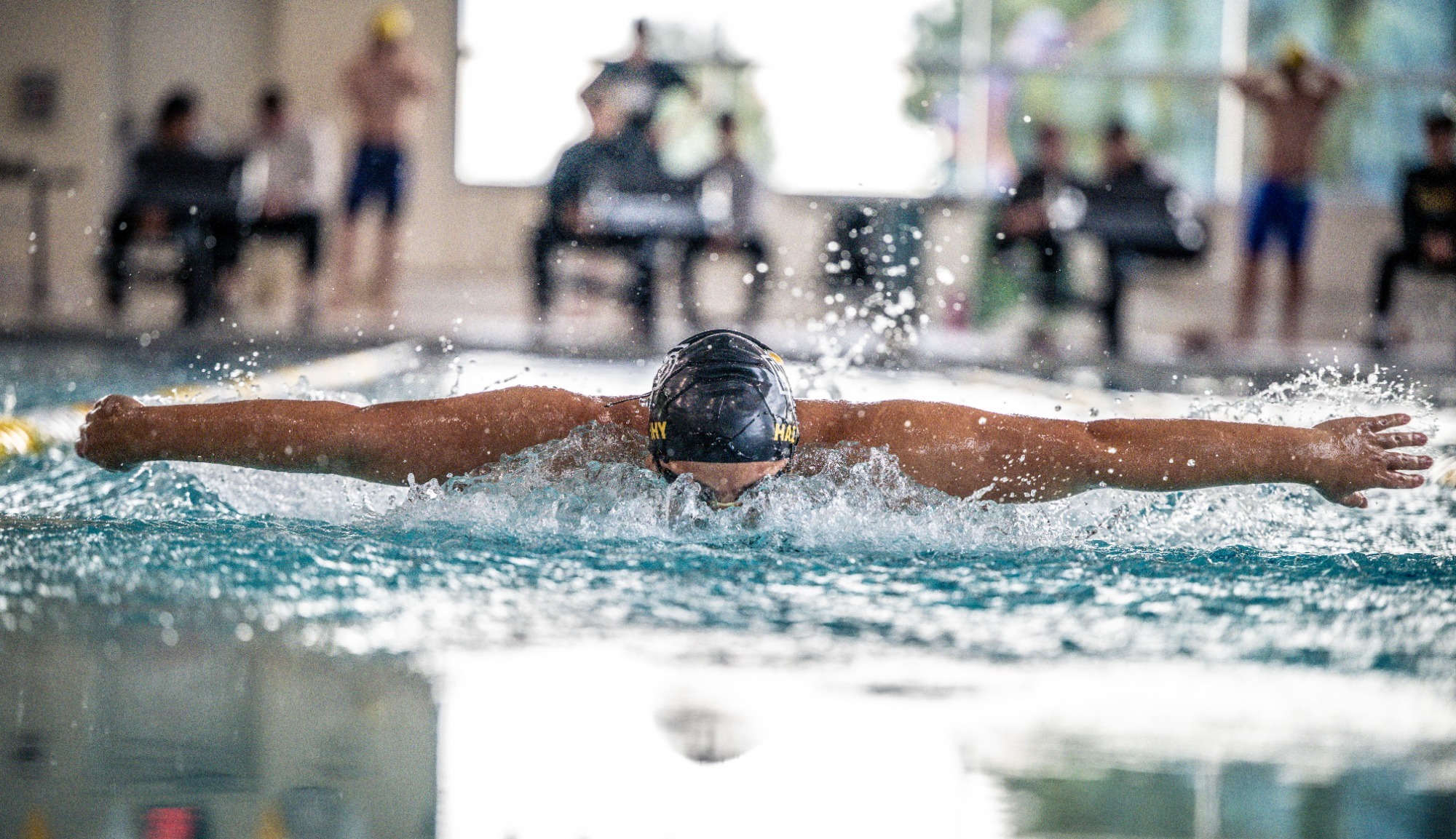 swim