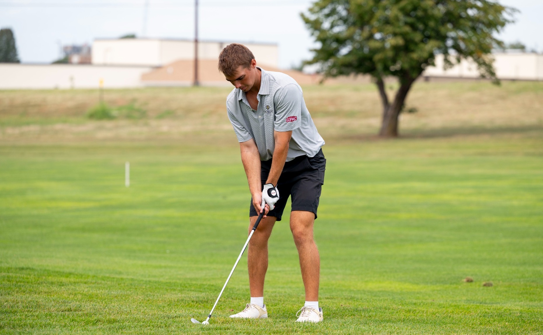 Wolfe golf 