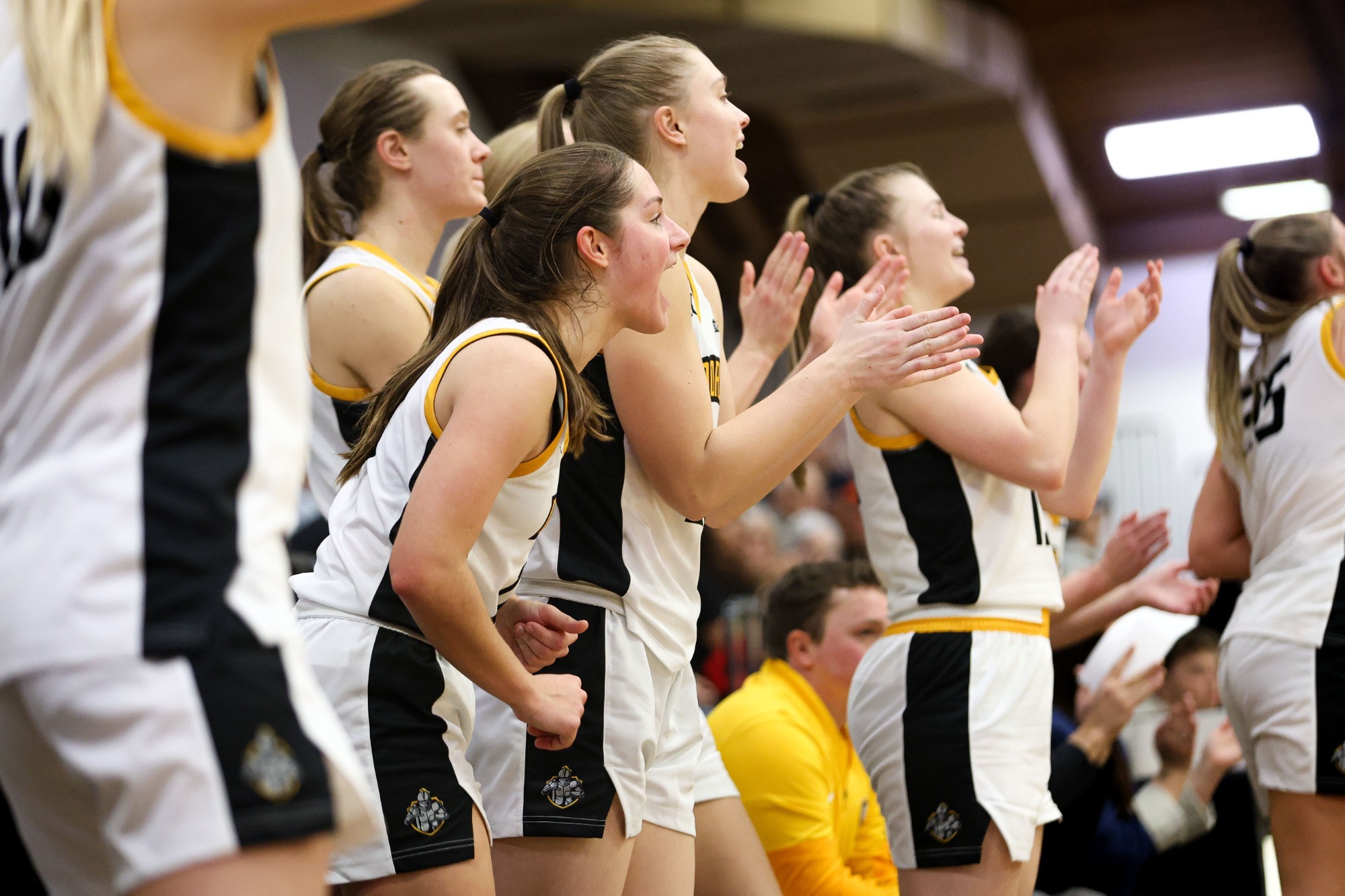 Celebrate women's basketball 