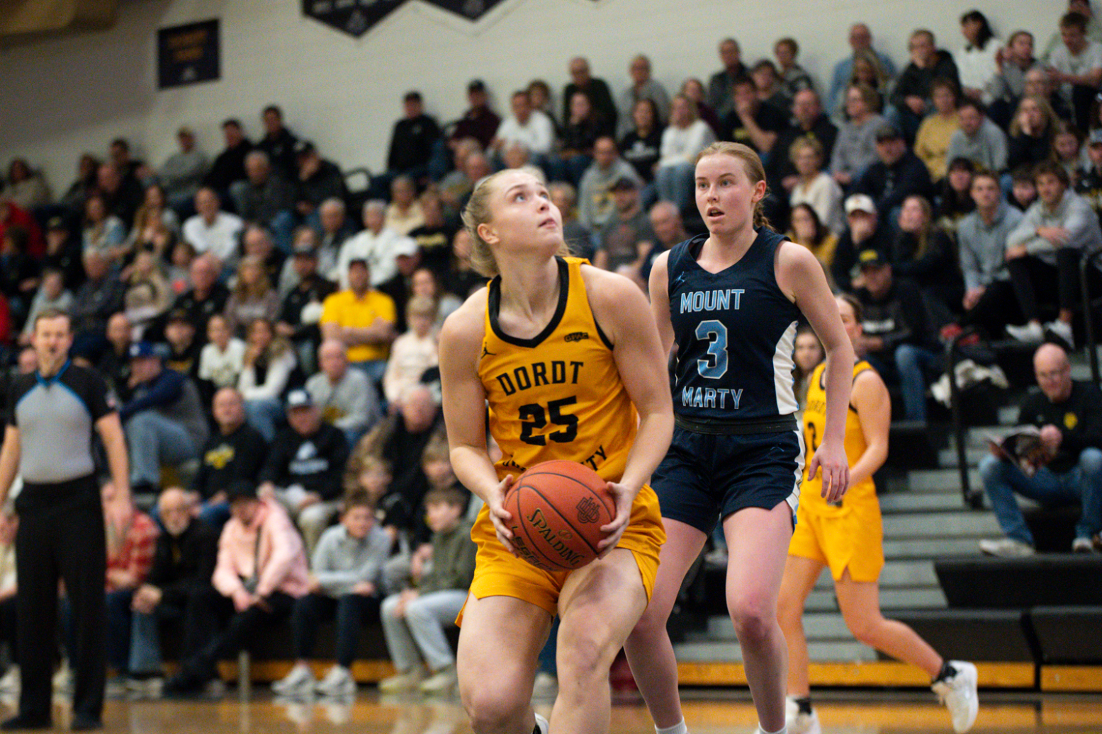 Taylor Drent basketball 