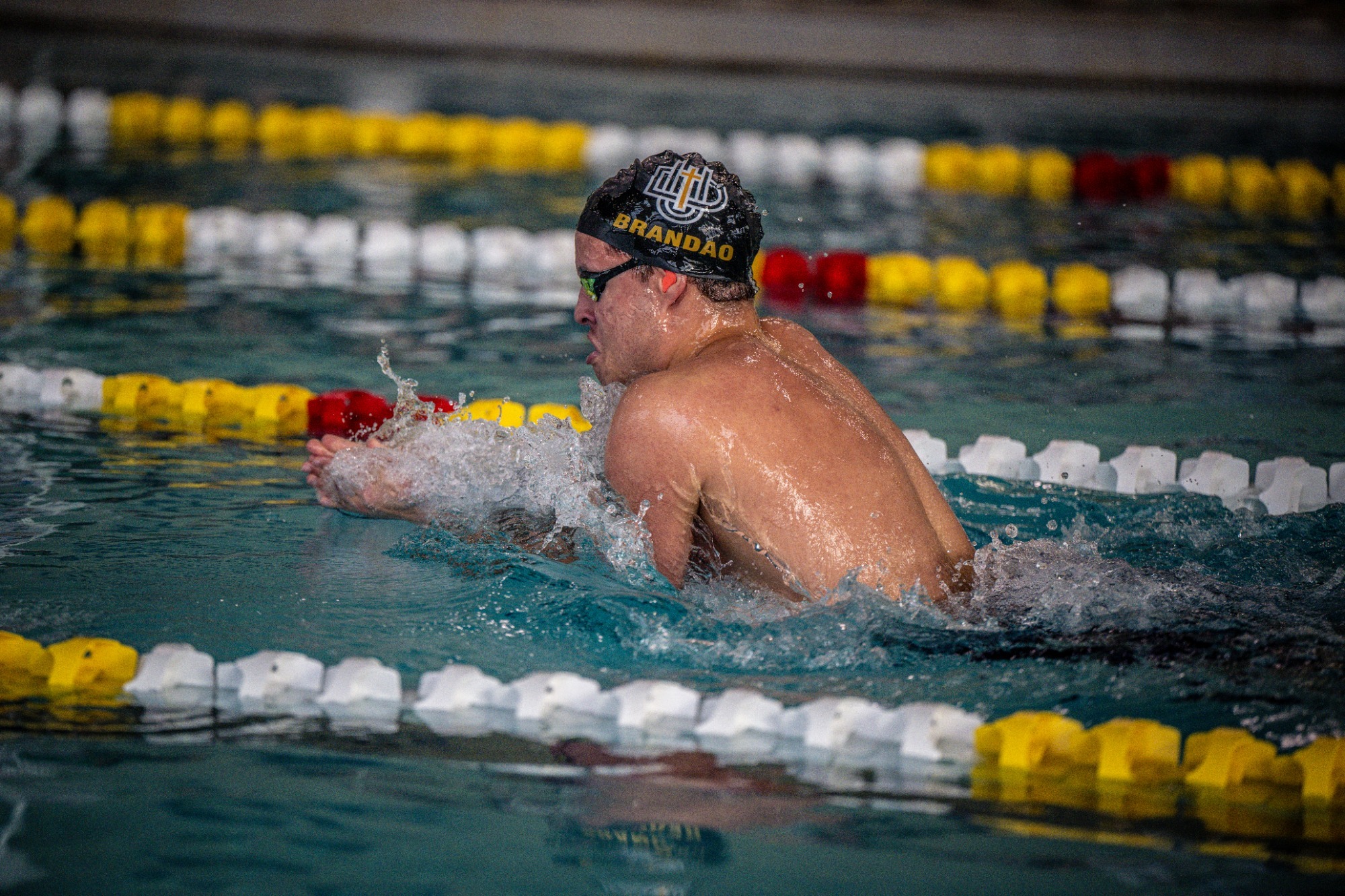 Pedro Brandao swimming