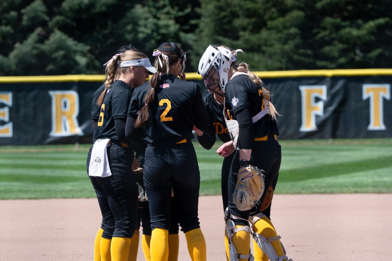 group softball