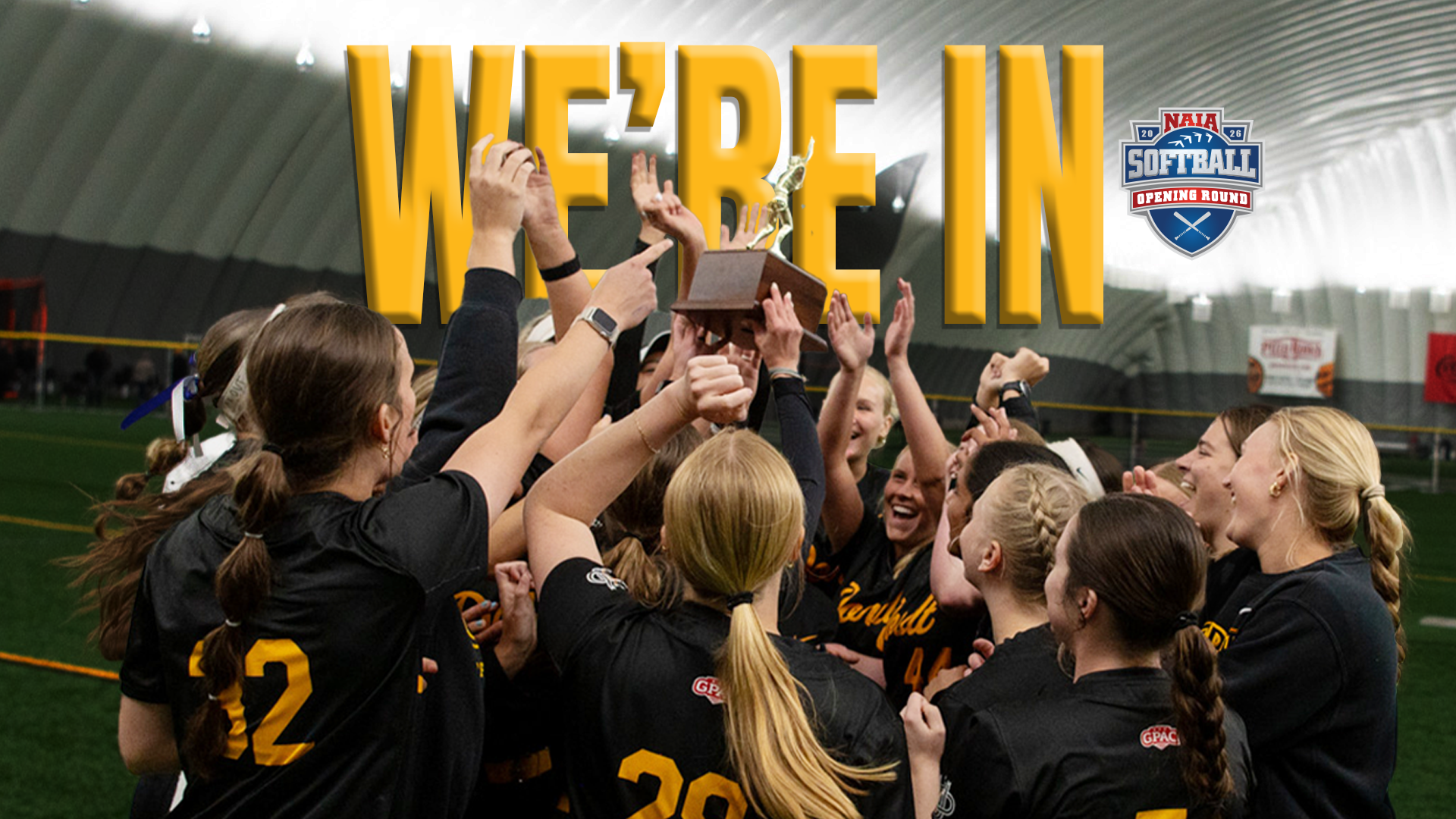 softball graphic
