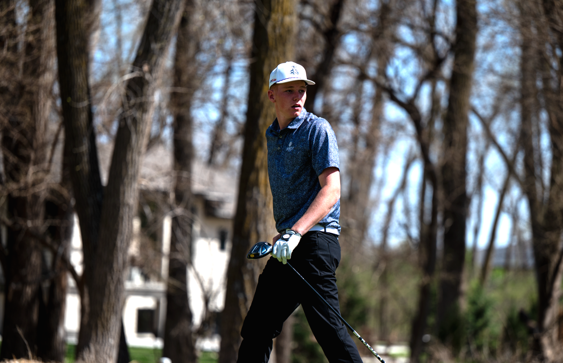 golf van groningen