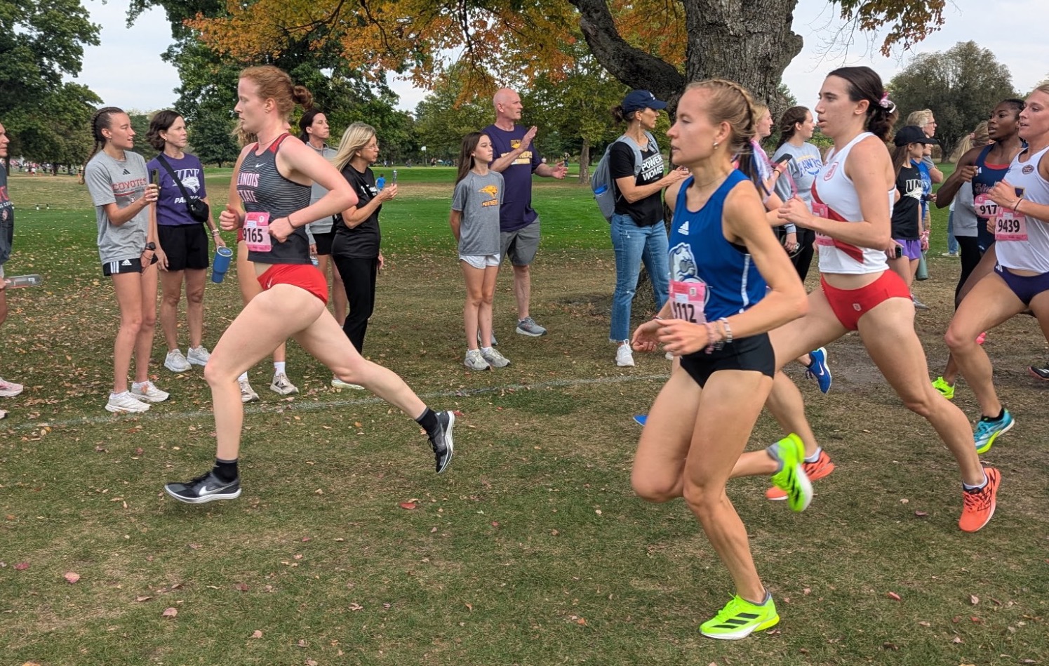 Kirillov Pink Classic