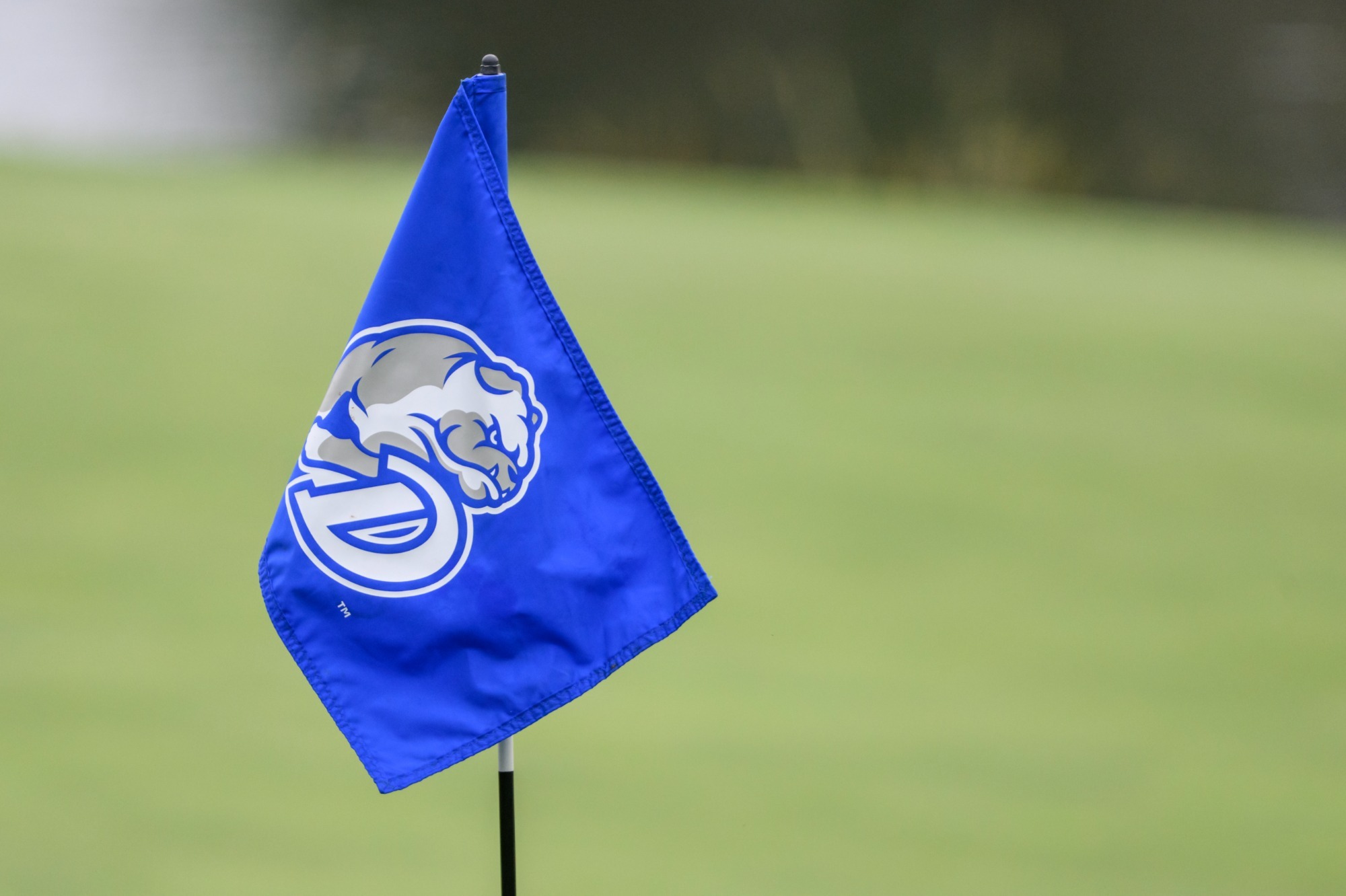 drake golf flag