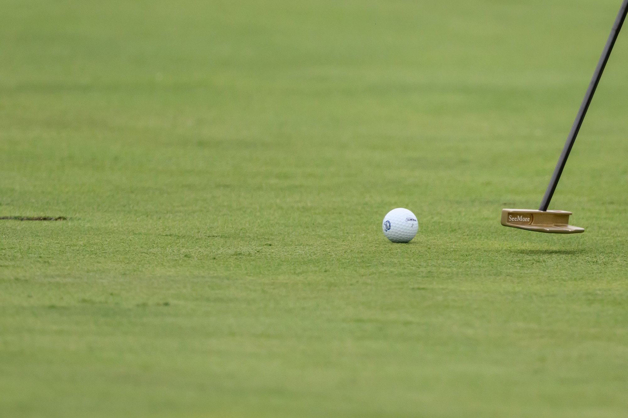 golf ball and putter