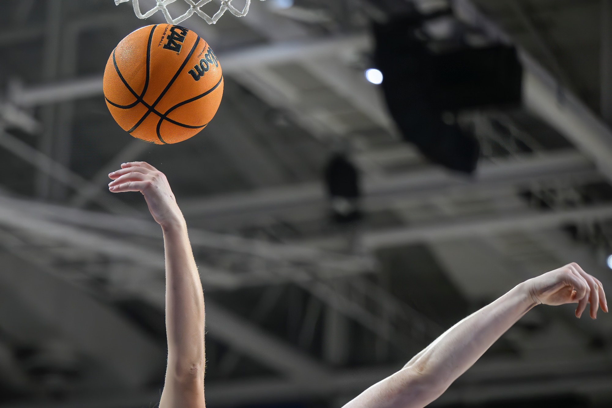 WBB Rebound