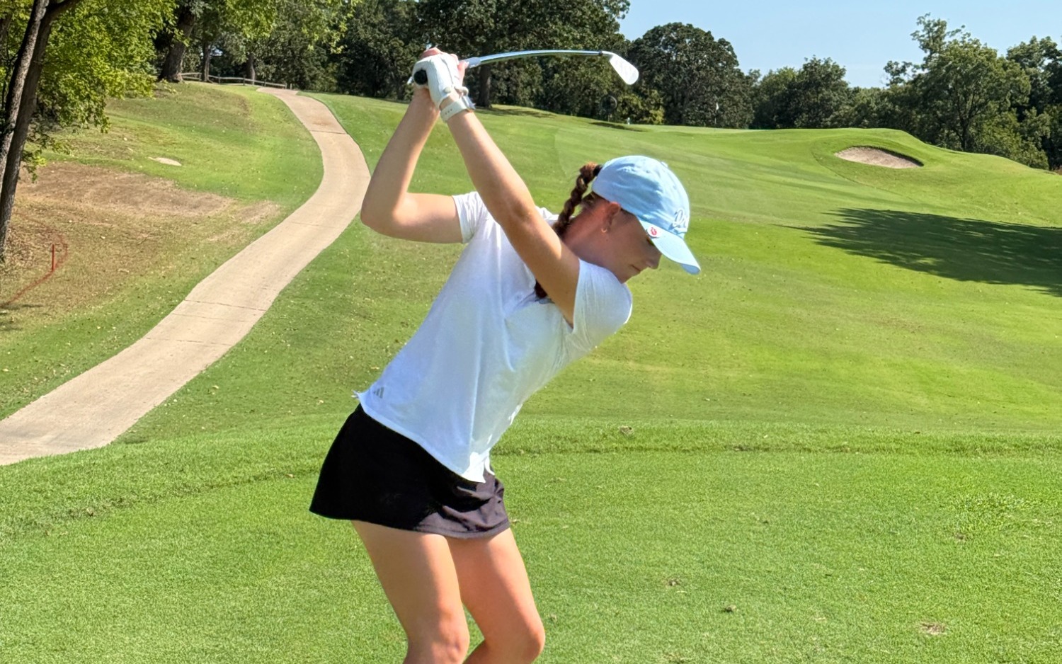 locklin iron shot