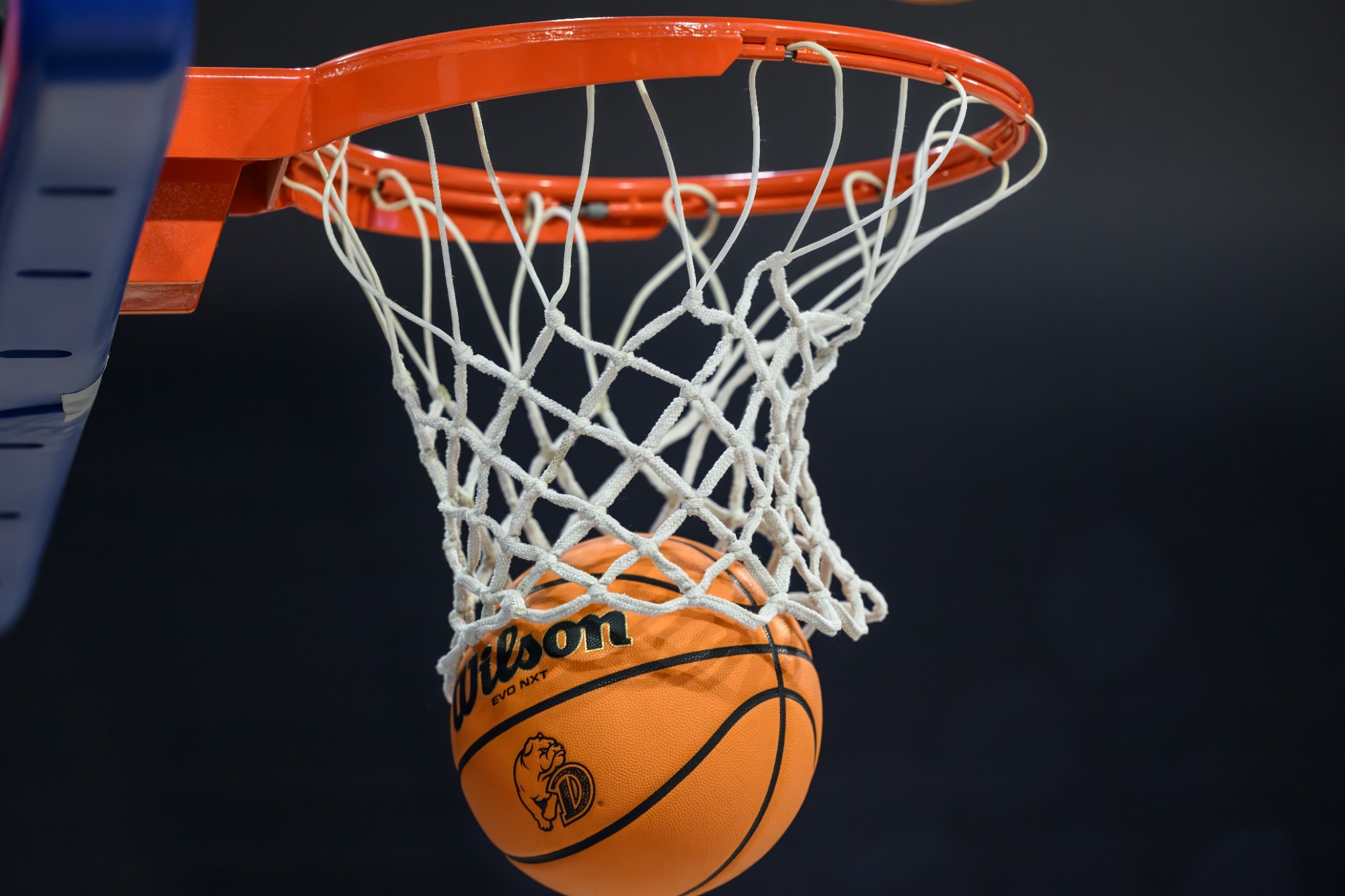 basketball and hoop