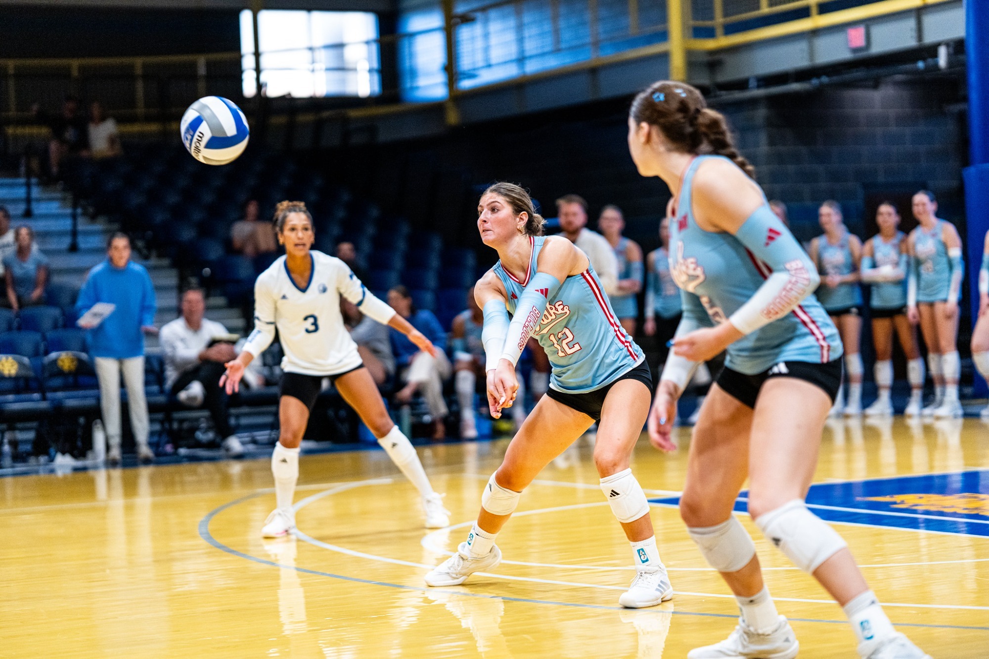 McMillen dig