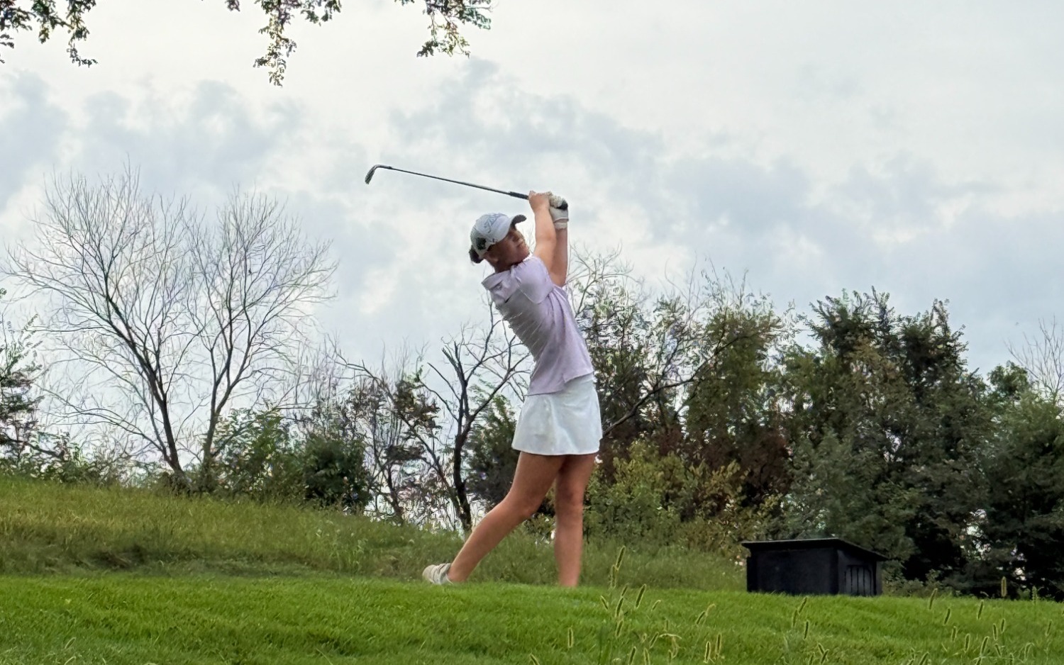 wgolf shot