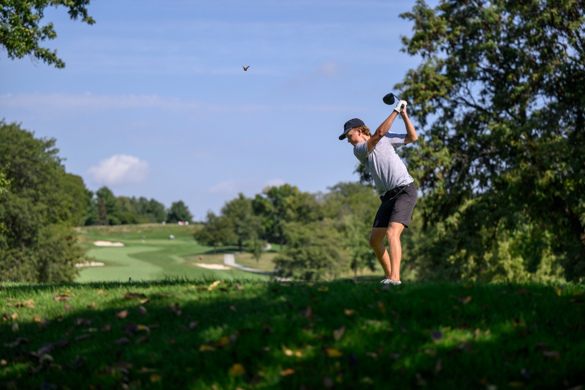 drogemuller tee shot