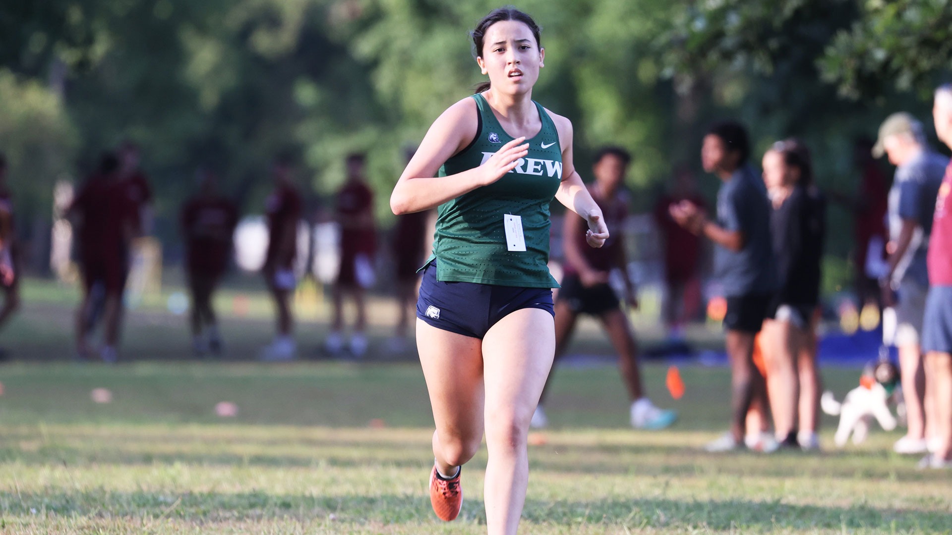 Hattan_Sarah_NJIT_2025