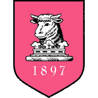 Opponent Logo