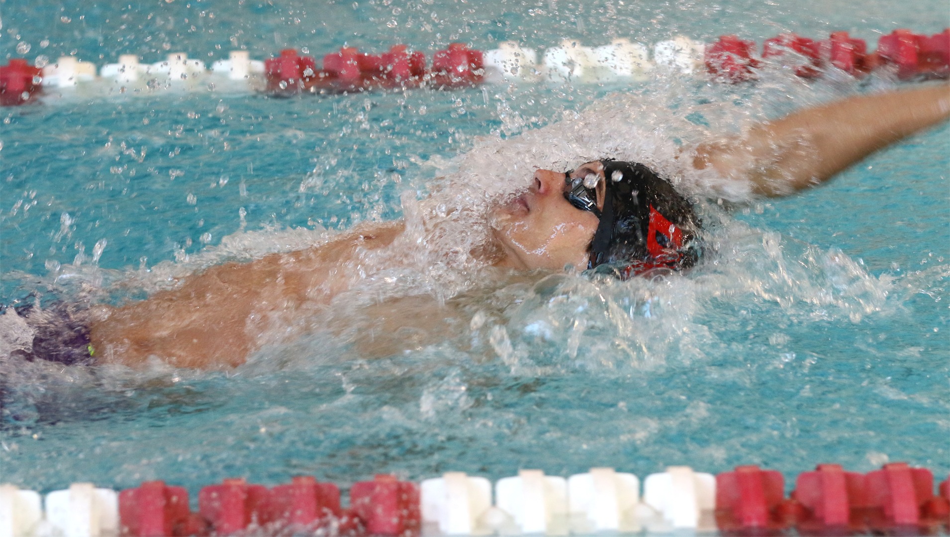 dumenswimmostate