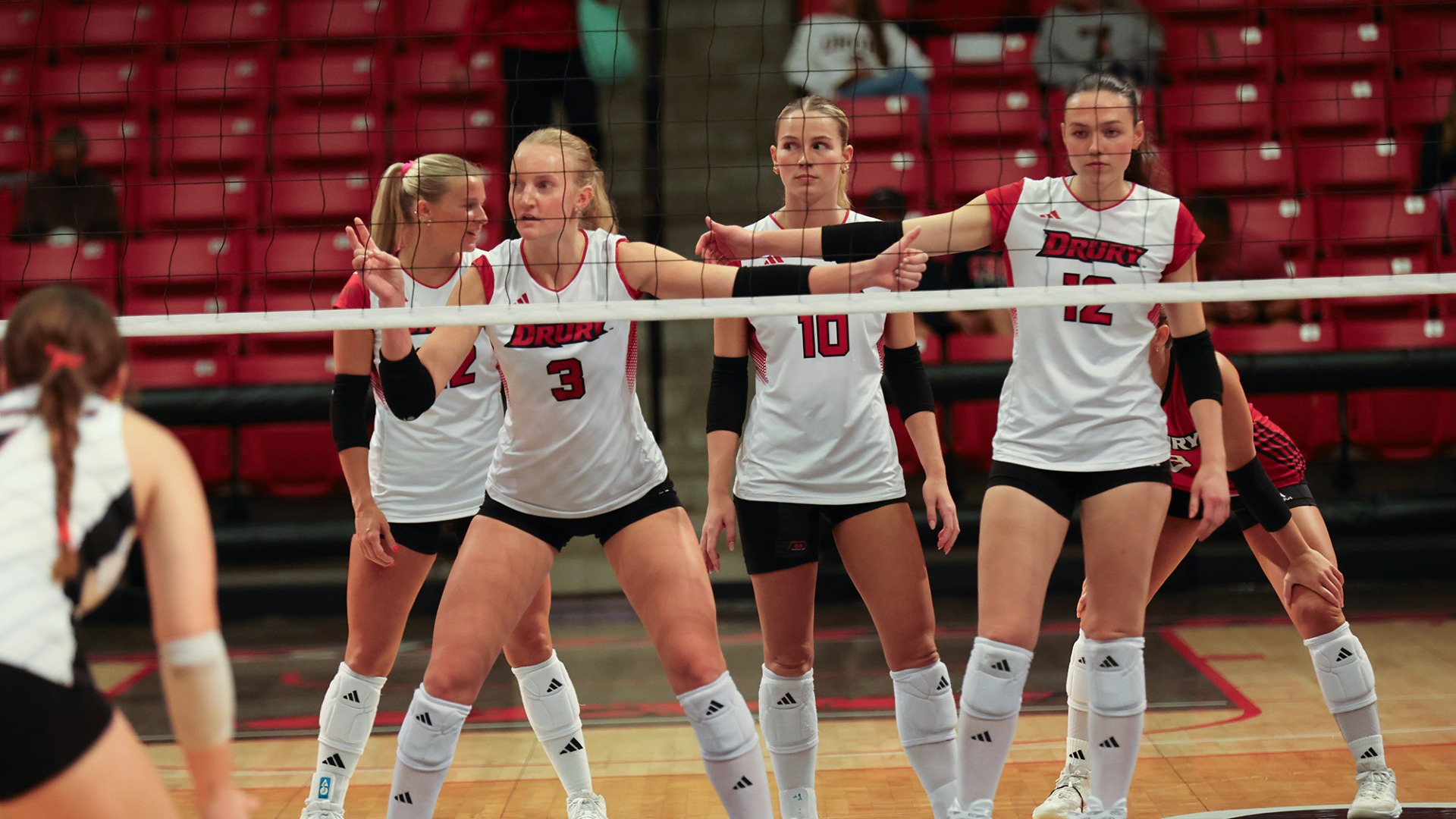 VB TEAM