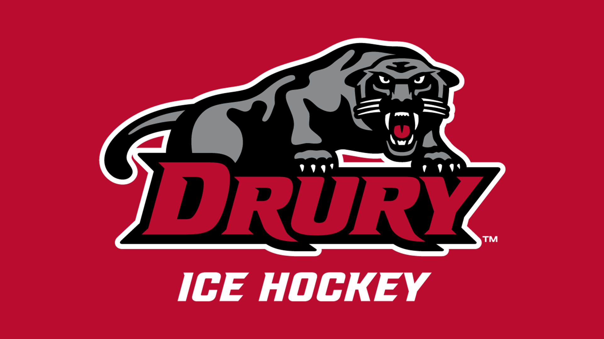 icehockey story cover