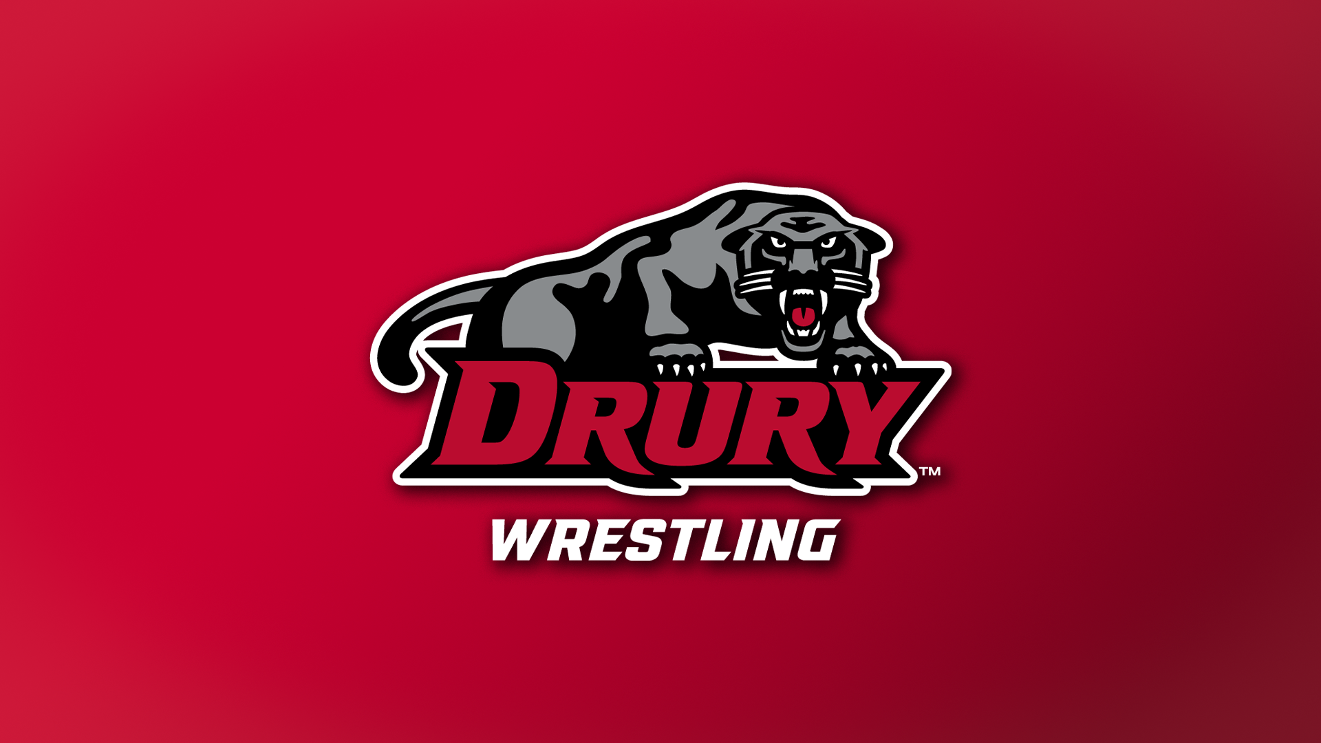 Wrestling Logo