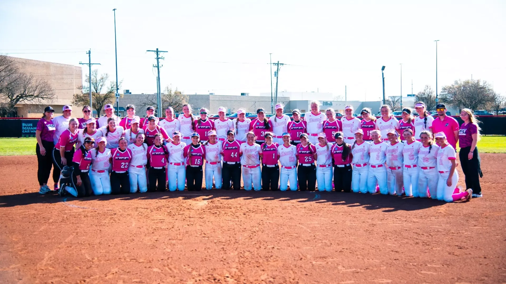 teambreastcanceruindy