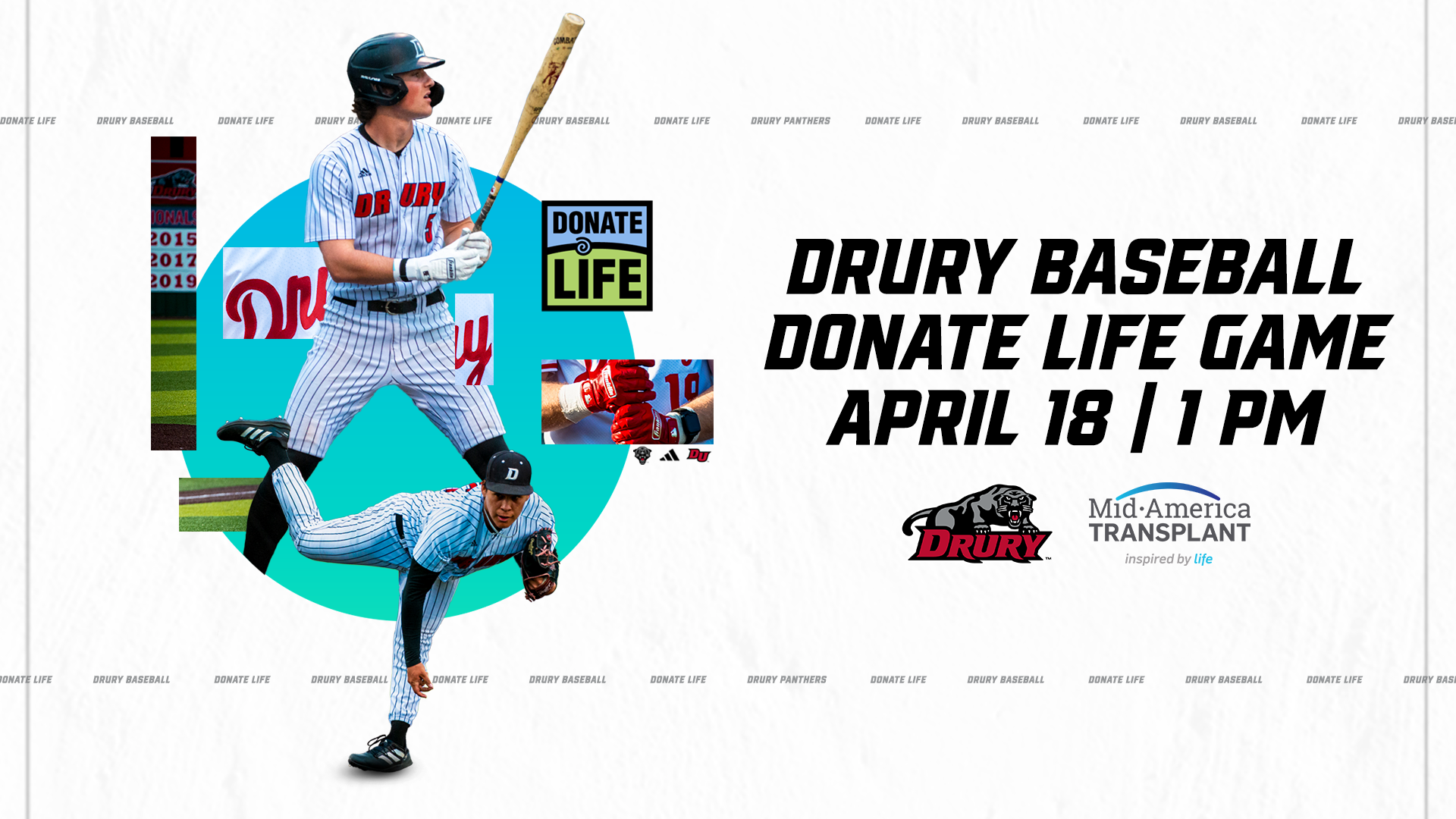 Donate Life Baseball