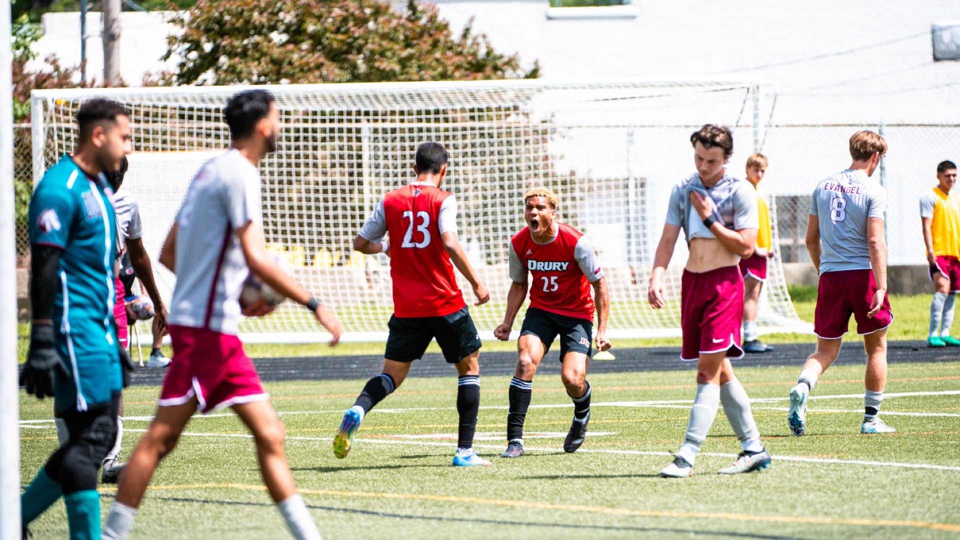 MSOC phinn celebration