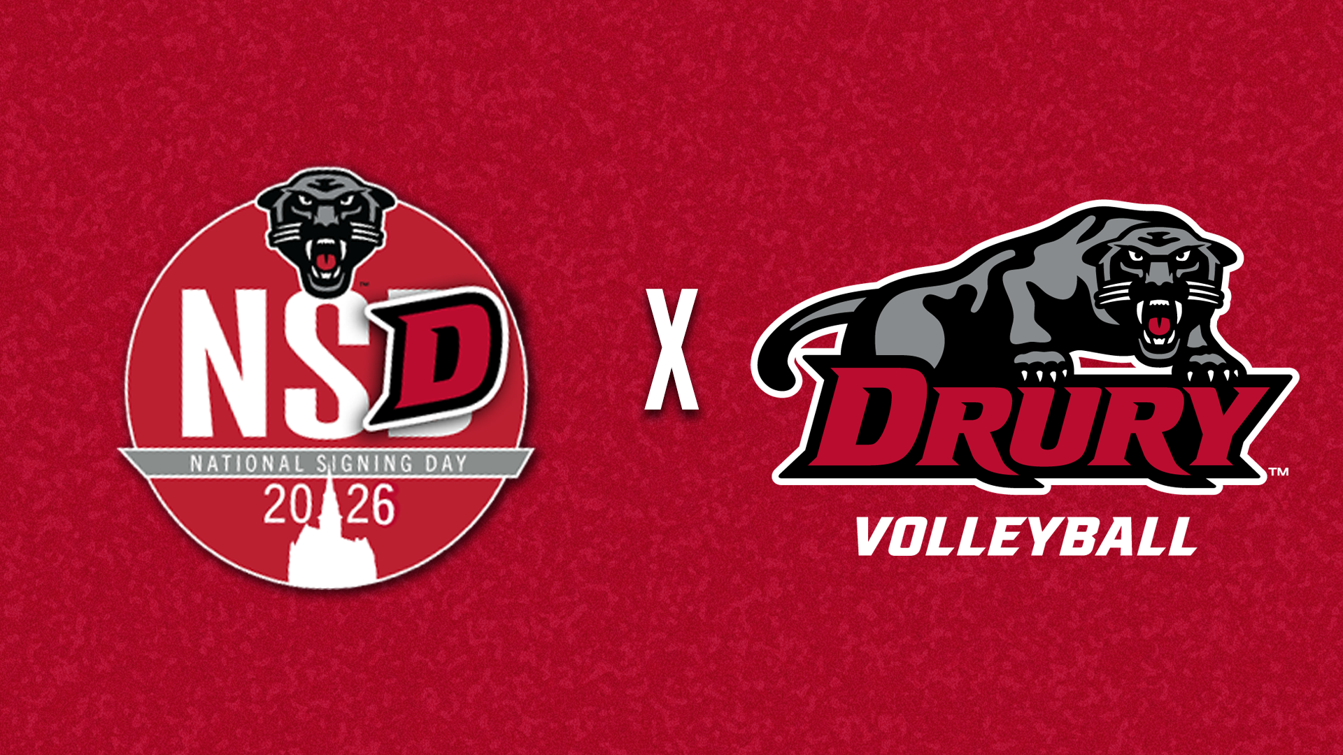 NSD Volleyball