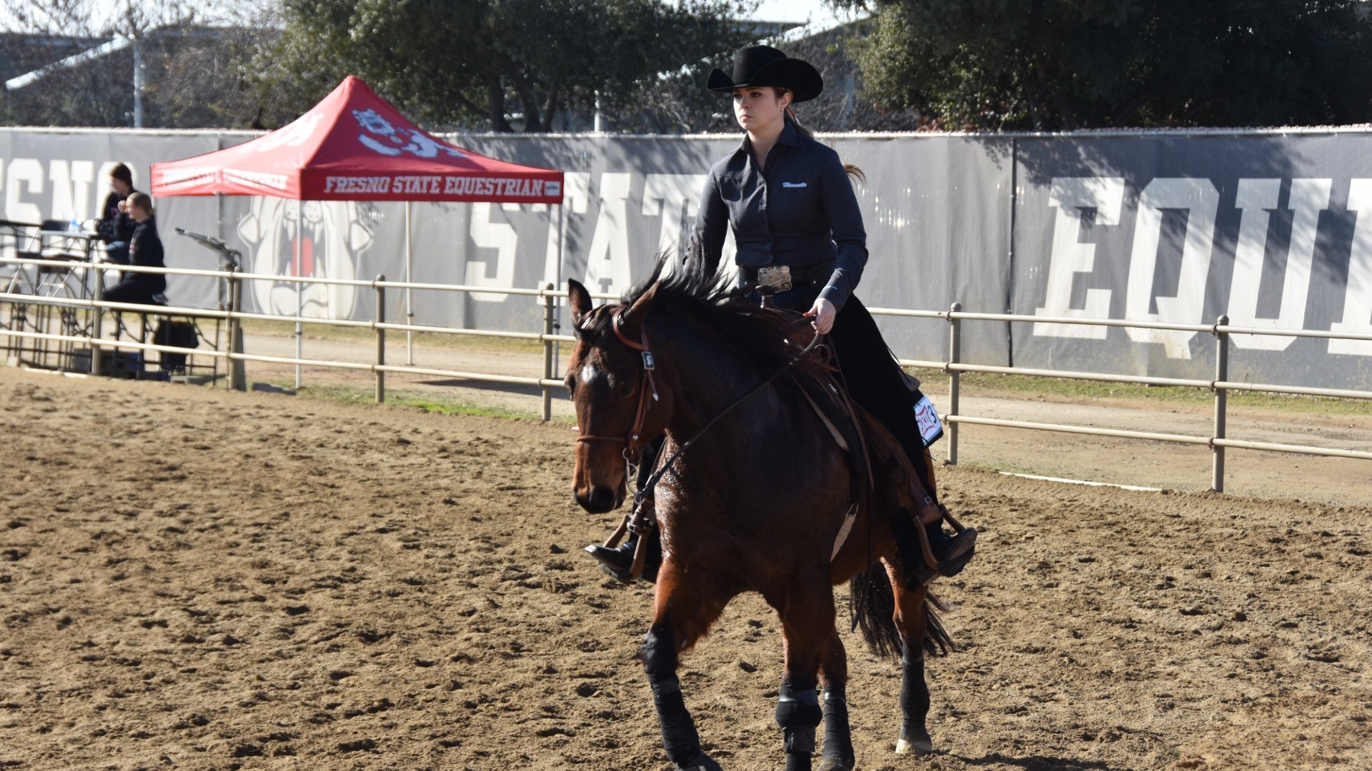 Equestrian Recap Pic