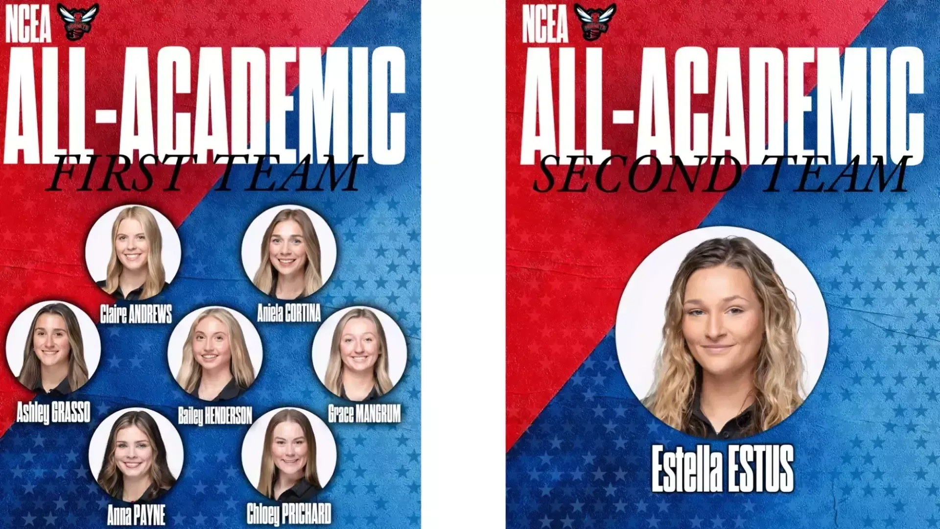 NCEA All-Academic