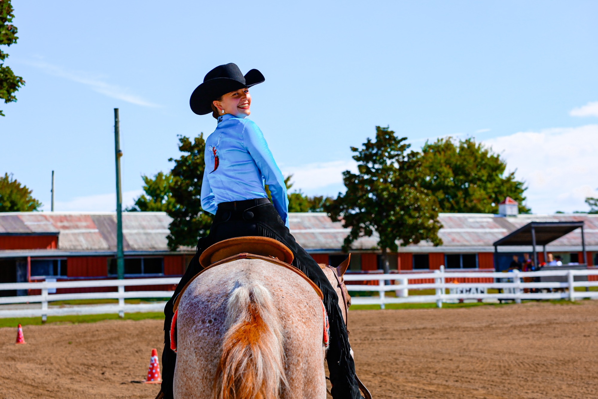Equestrian Action Shots