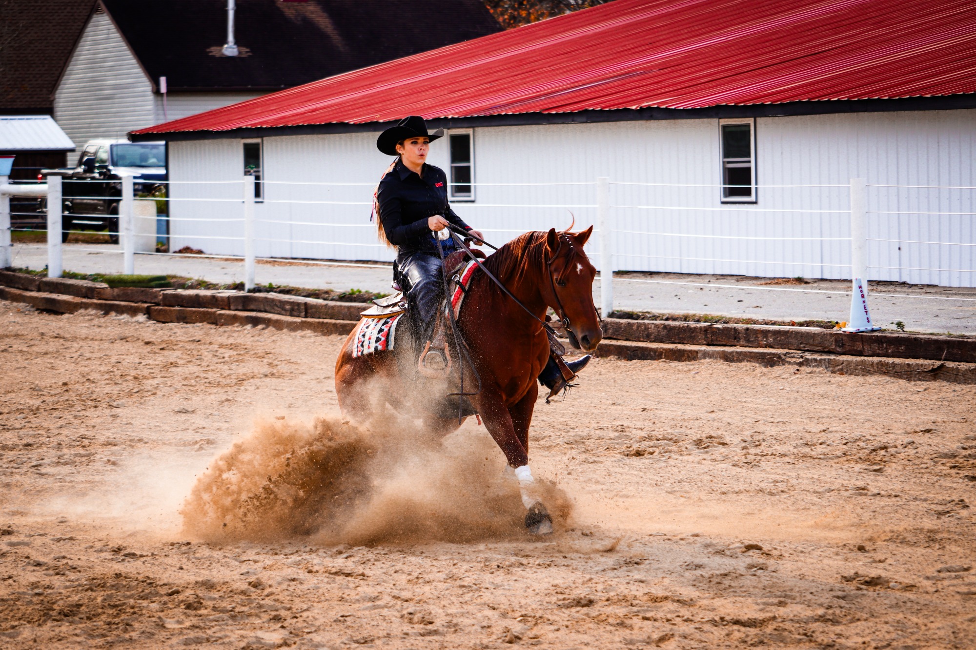 Equestrian Action Shots