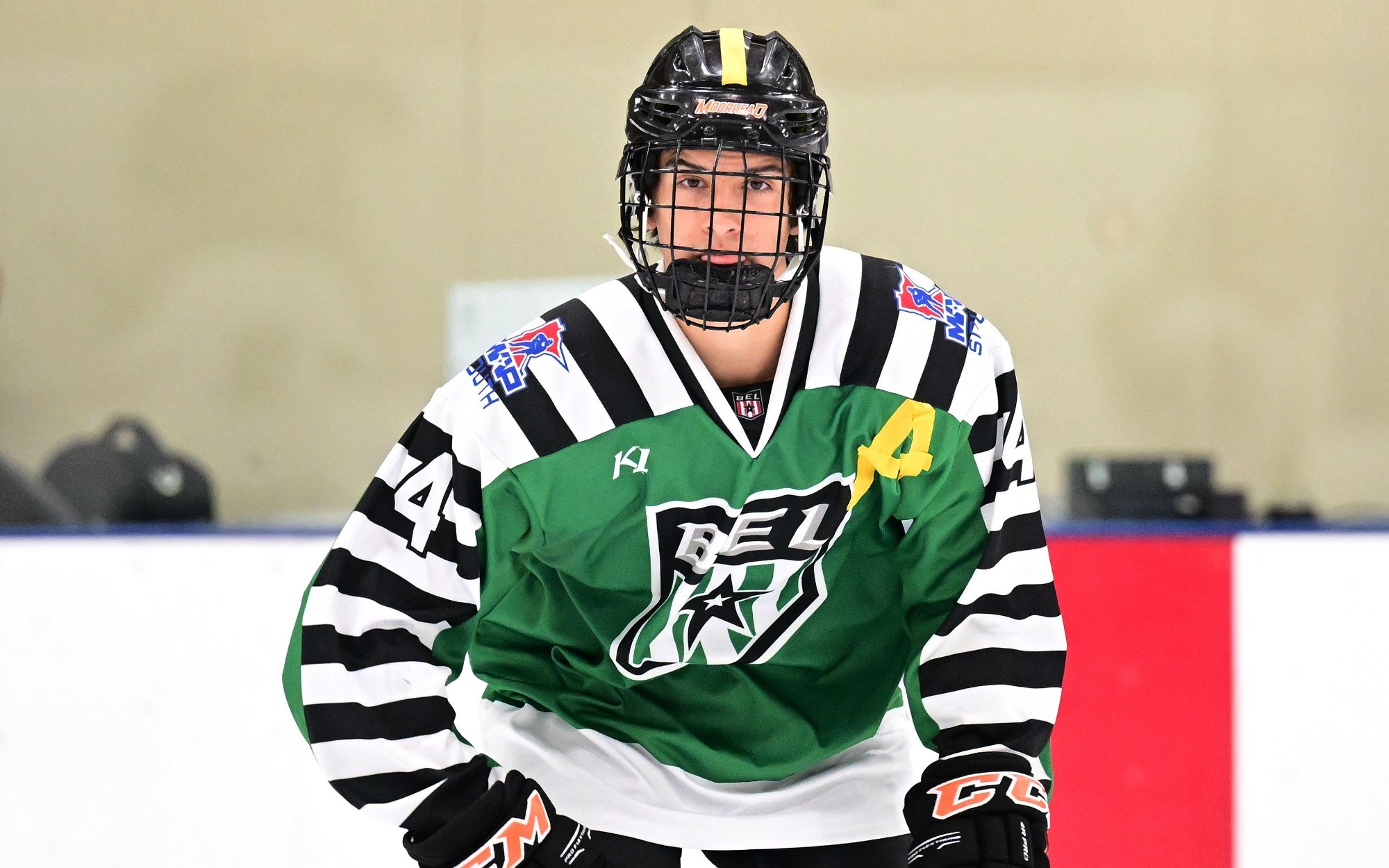 Draft Profile Brandon Mickelson Dubuque Fighting Saints