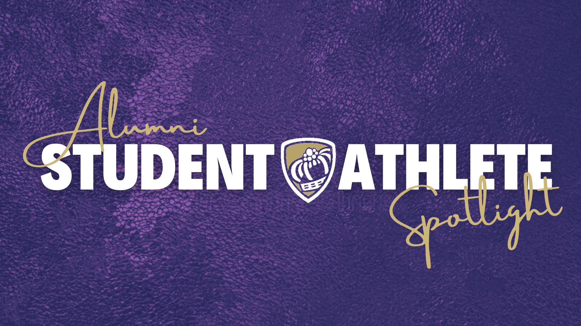 Alumni Student Athlete Spotlight