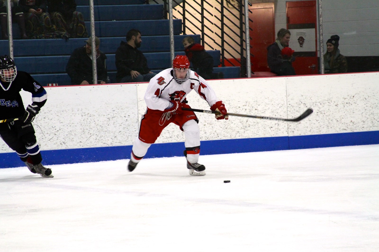 Daniel Swink Men's Ice Hockey (DII) Davenport University Athletics